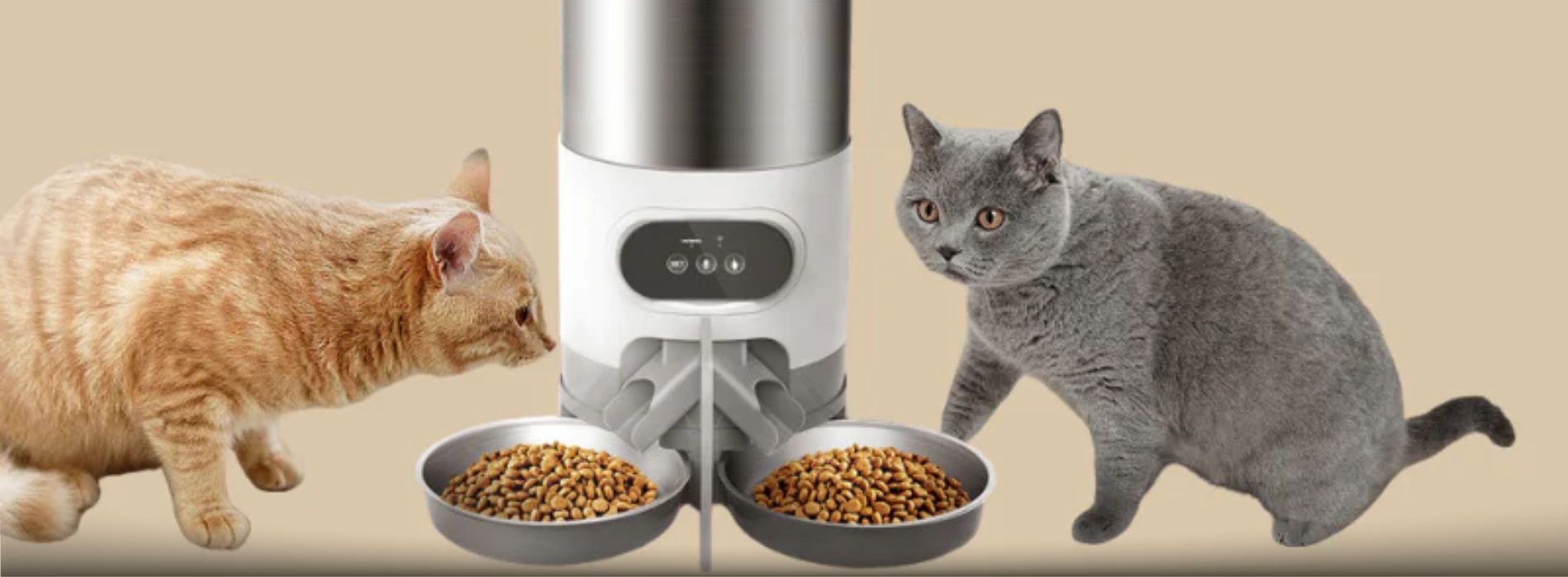 cat-dispenser-reviews