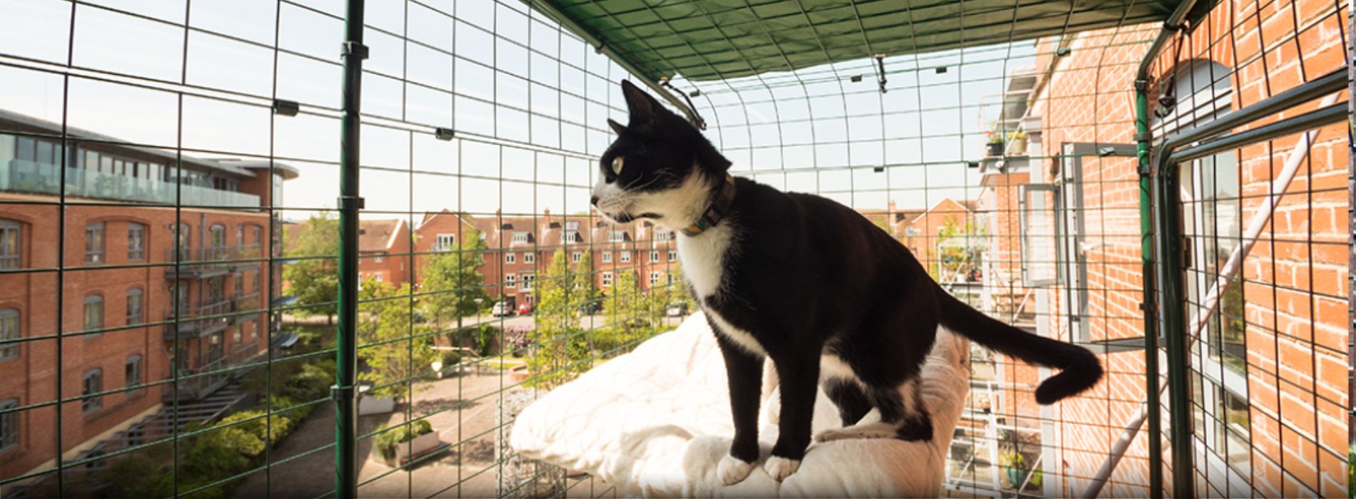 how-to-cat-proof-a-balcony