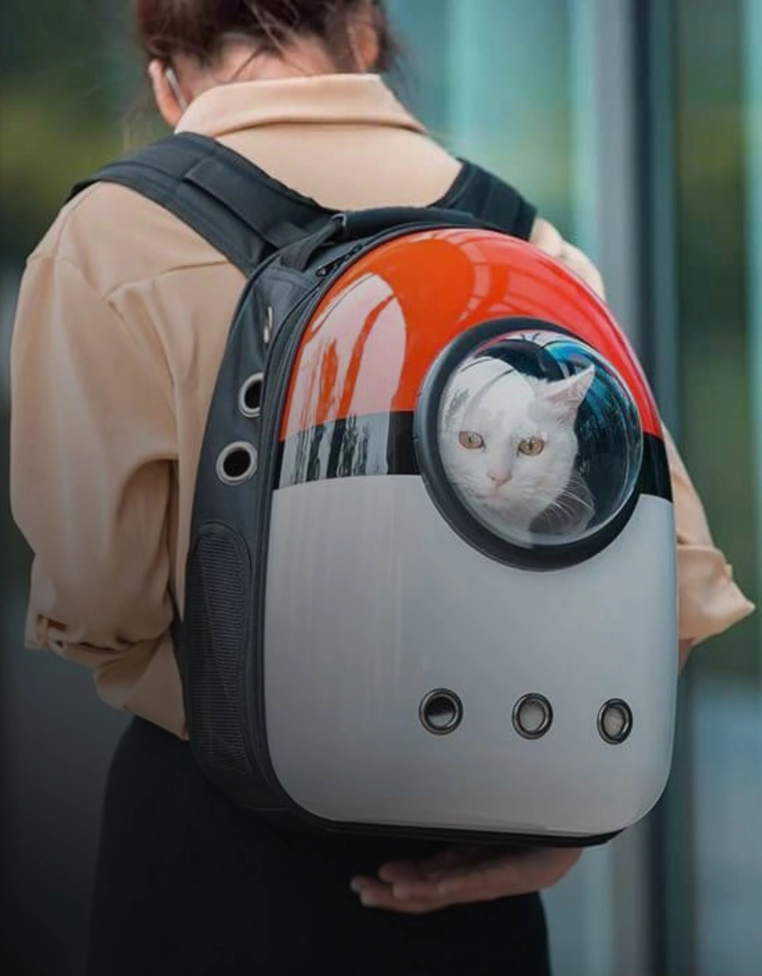 cat-bag-carrier