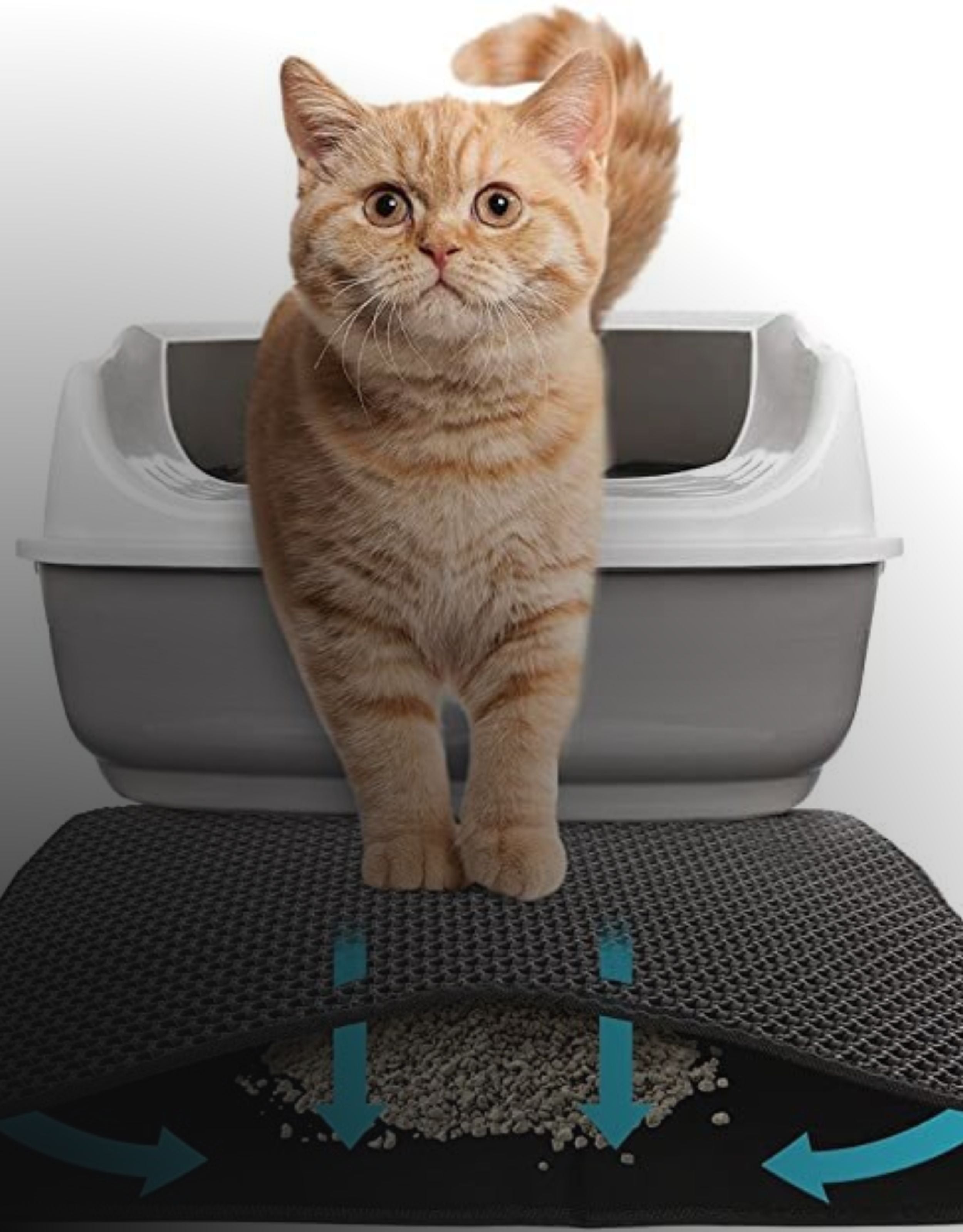 Cat Litter Microfiber Mat- Cat Litterbox Mats