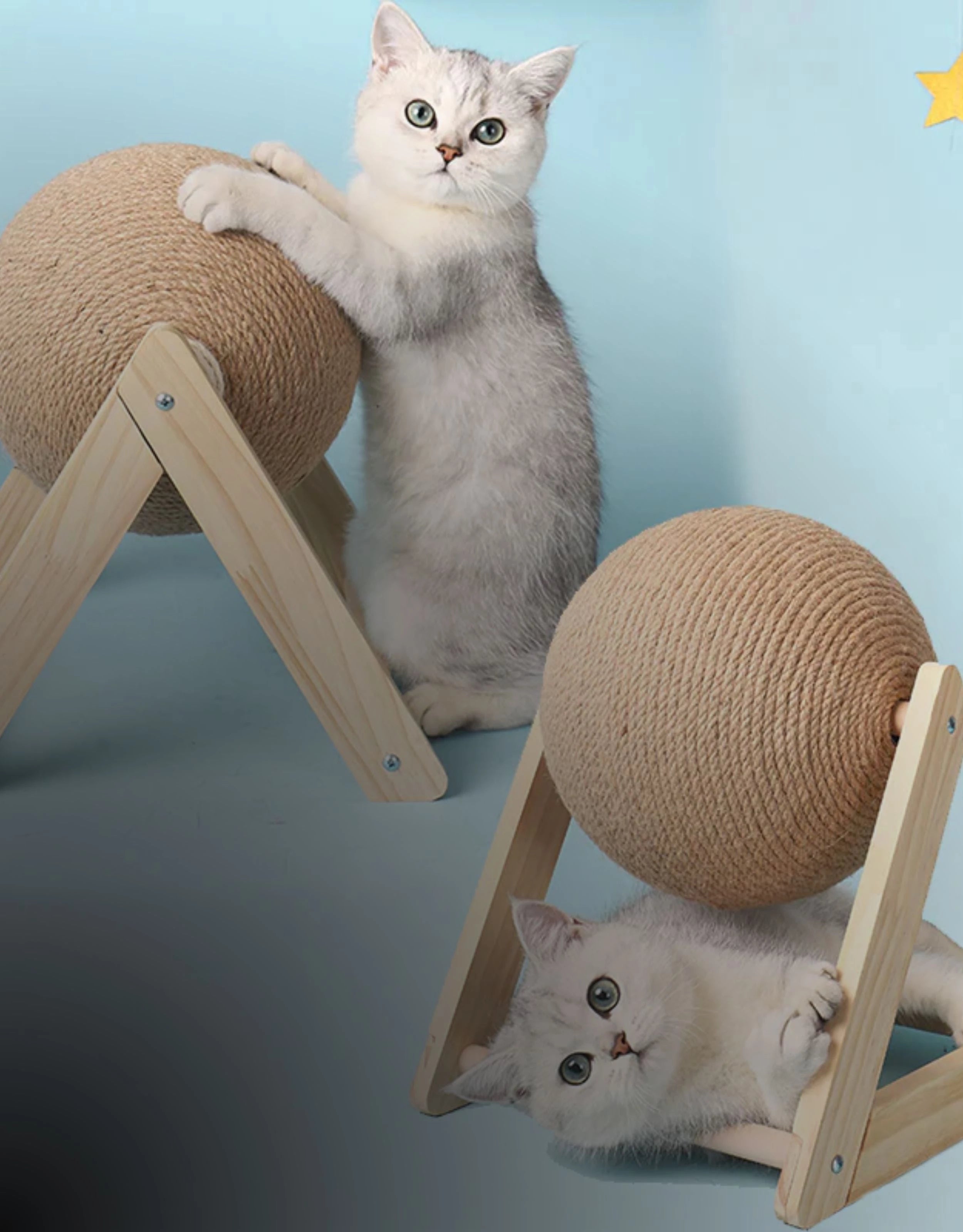 cat-scratching-post