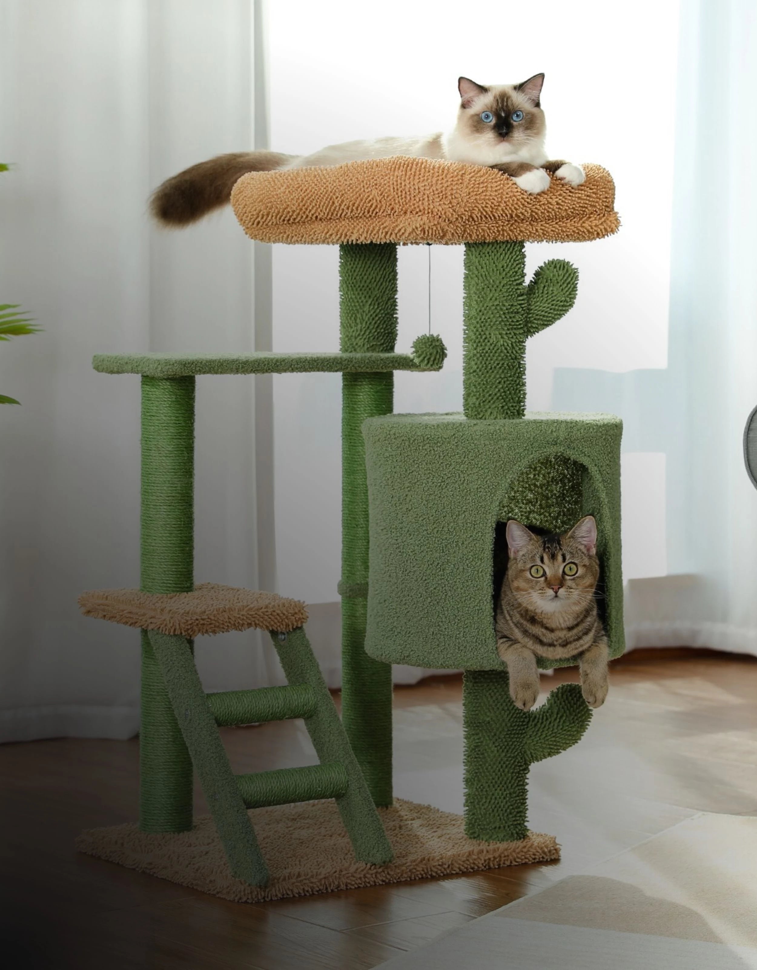 cat-trees