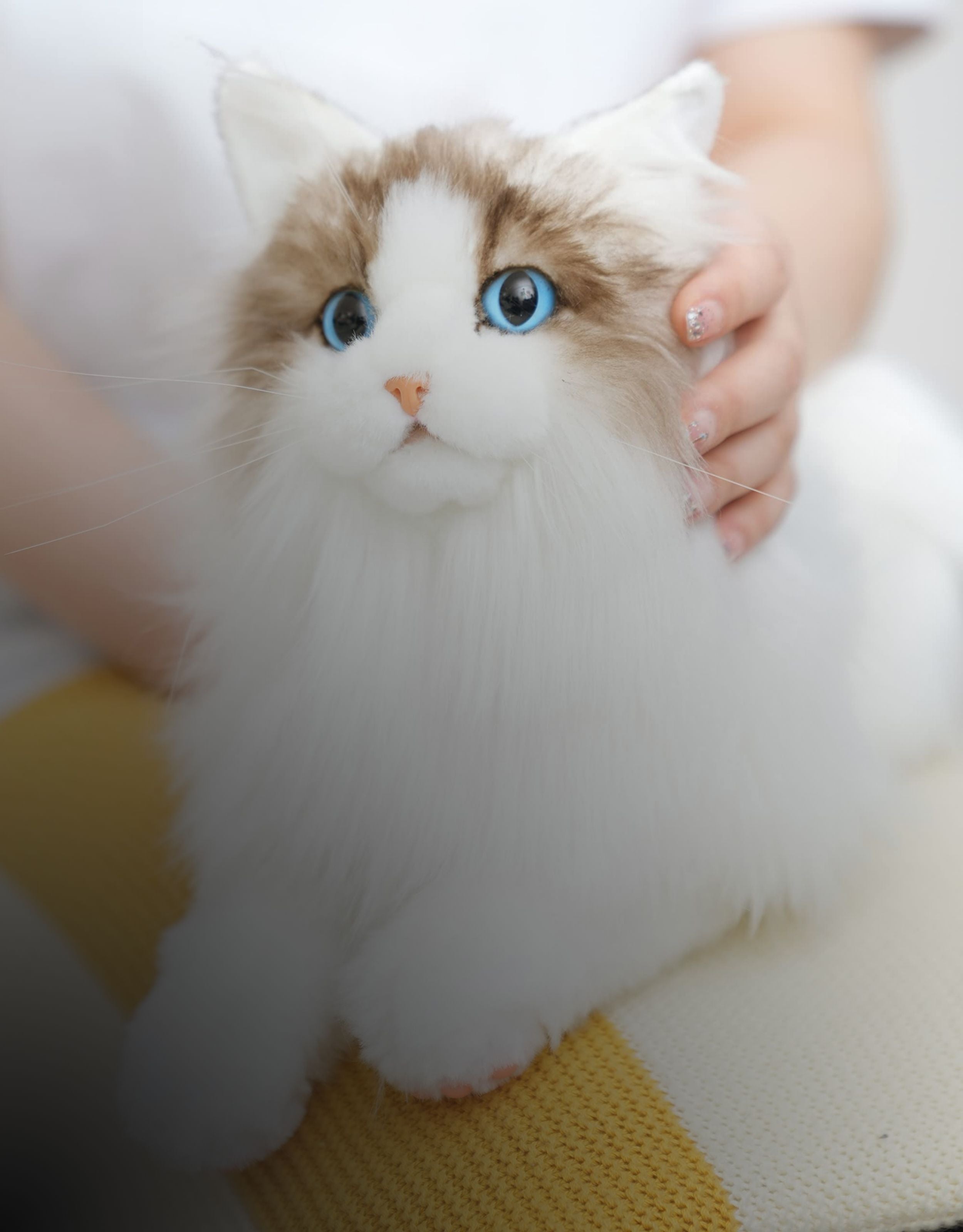 Realistic cat stuffed animals online