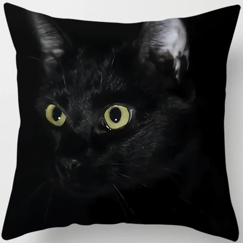 Oreiller chat noir