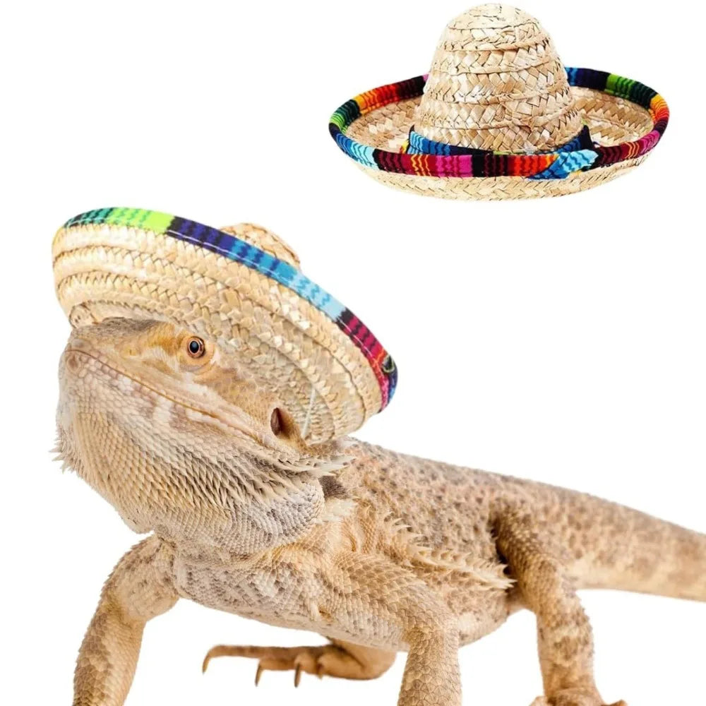 Mini Straw Sombrero for Cats, Woven Fiesta Hat With Colorful Brim
