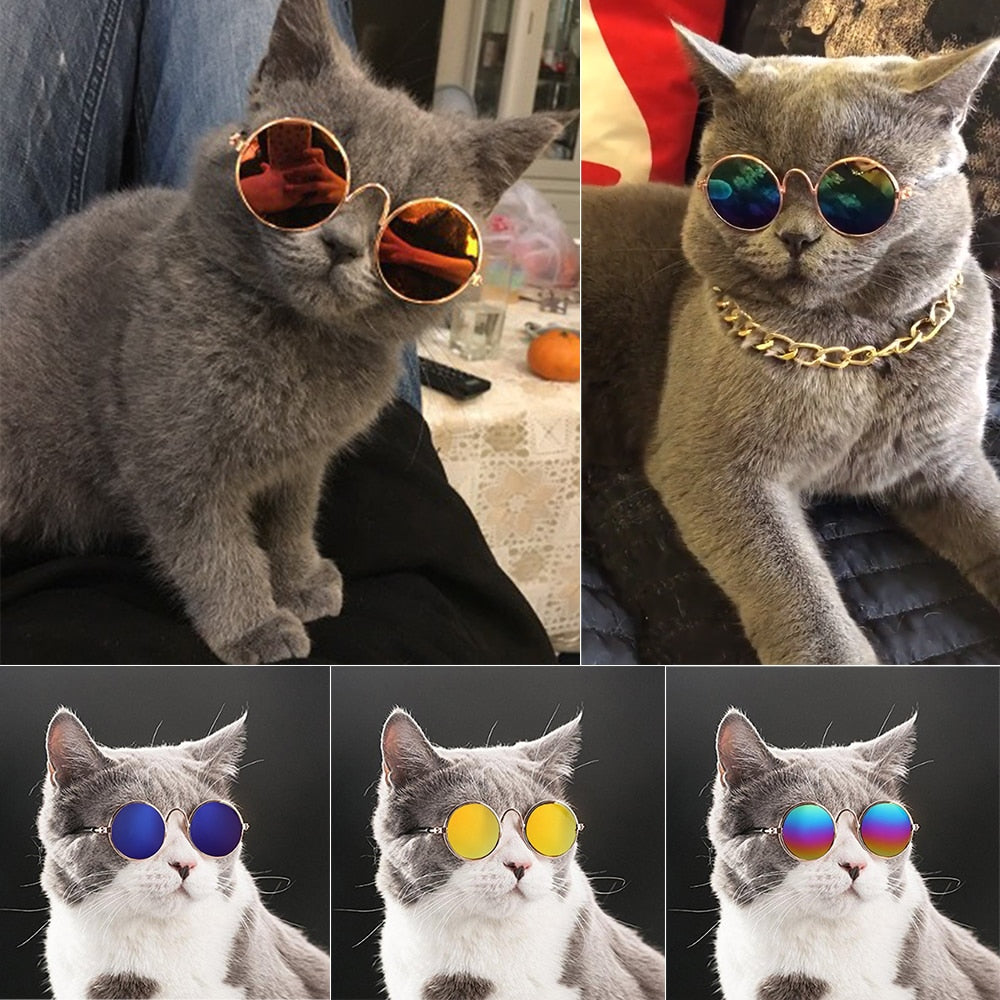Cat Glasses