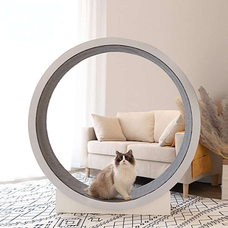 Cat Runner Wheel