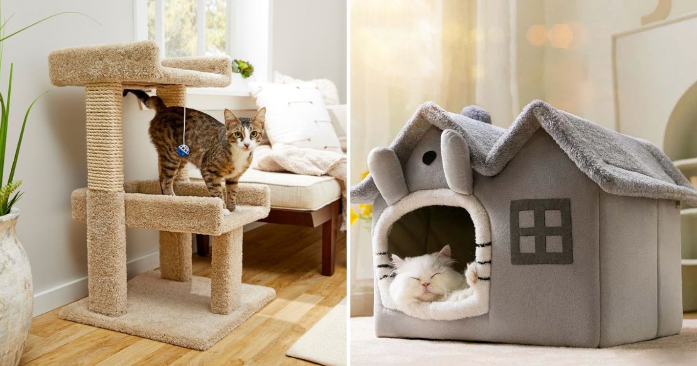cat-supplies