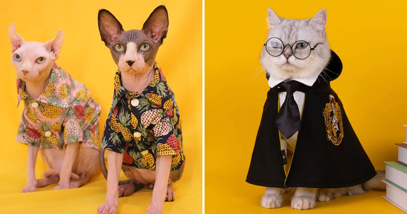 clothes-for-cats