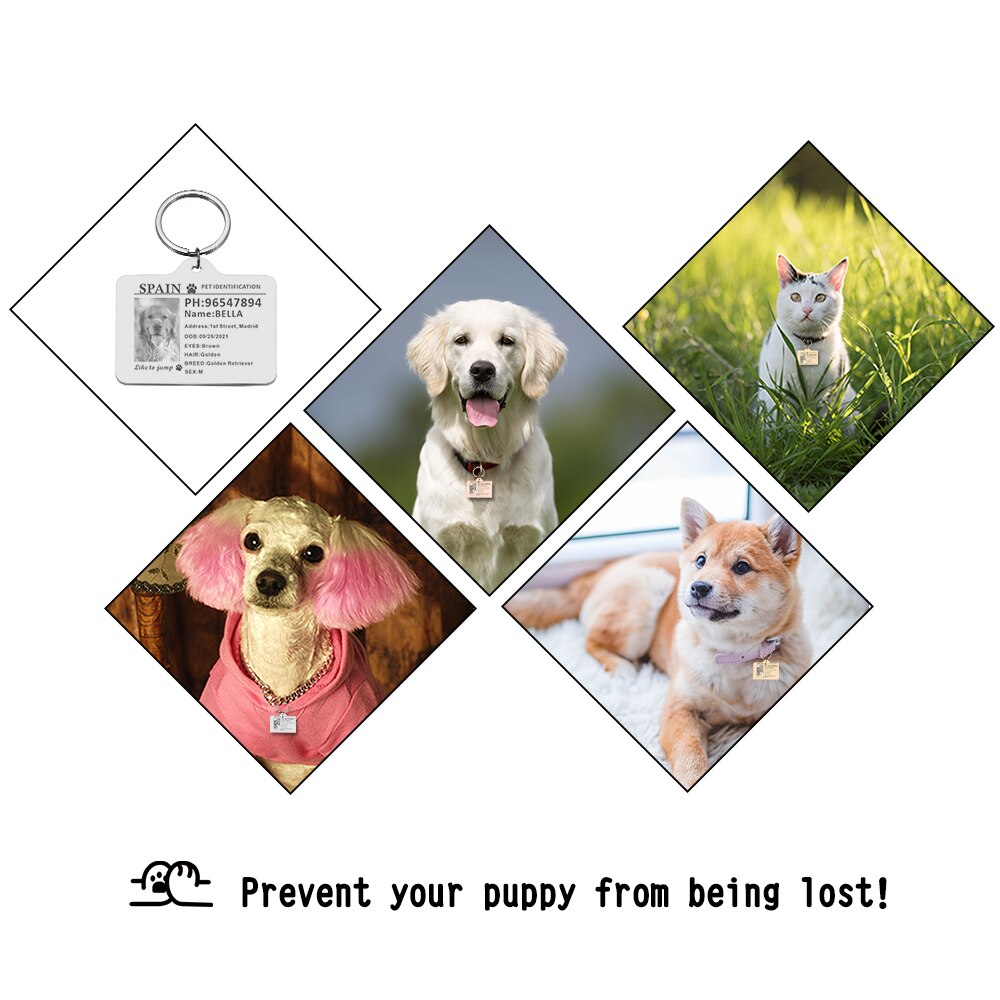 Custom Pet ID Tags