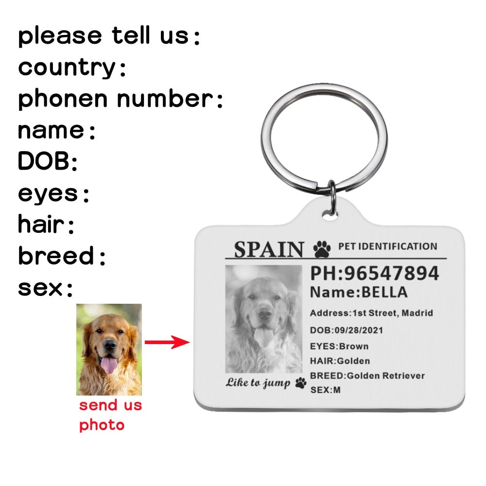 Custom Pet ID Tags - Silver / 30X40mm