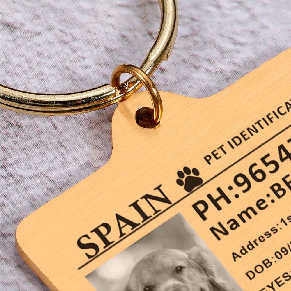 Custom Pet ID Tags