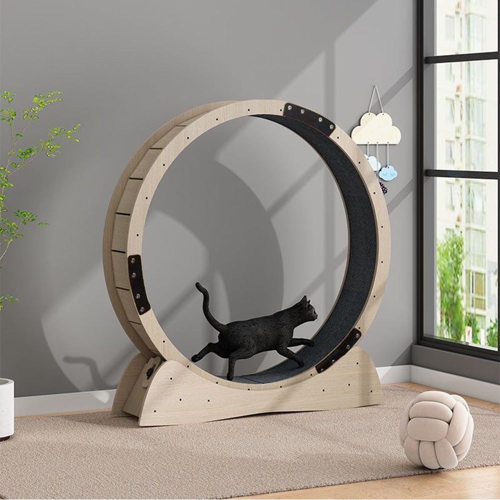Exercise Wheel for cats