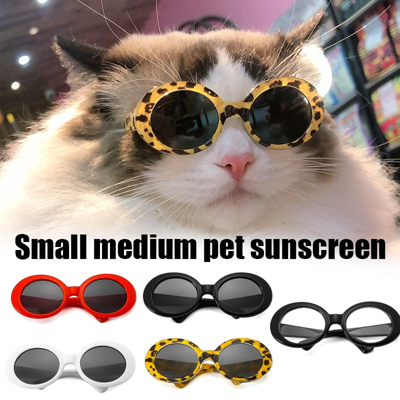 Fashion Glasses for cats
