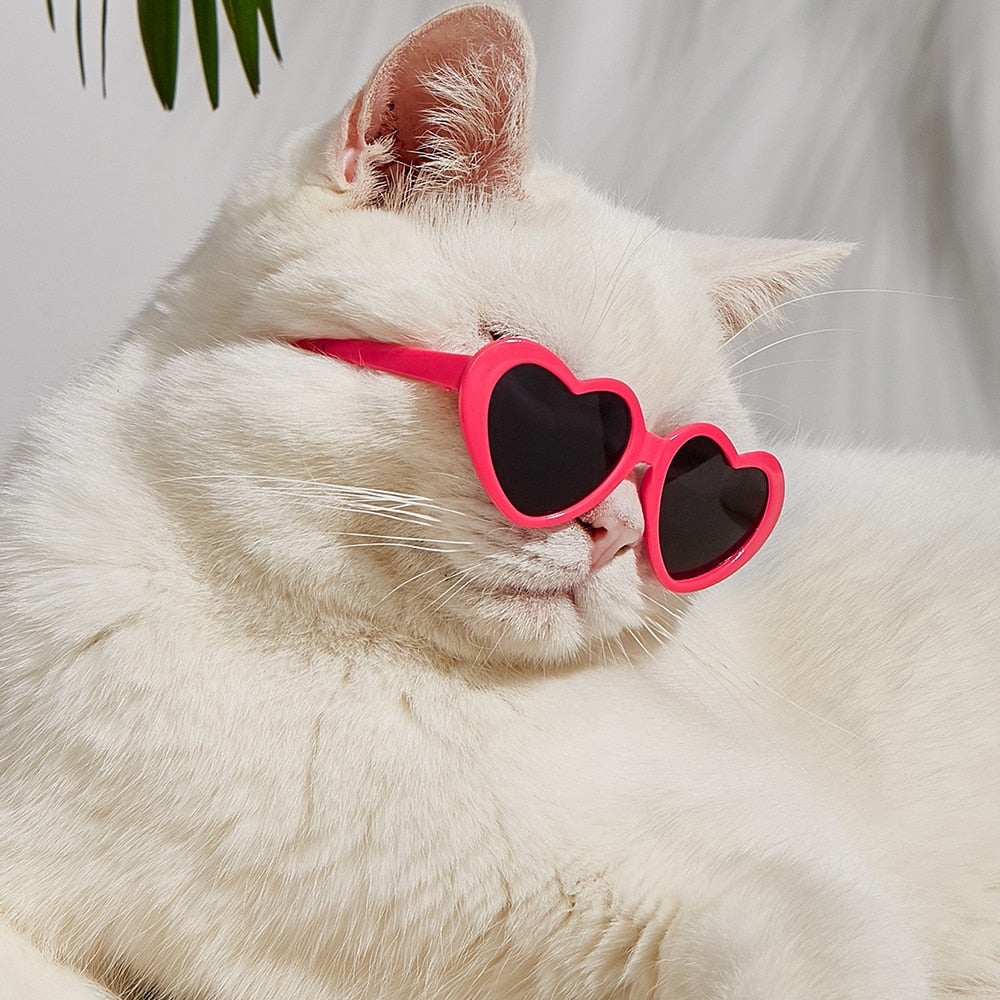 Heart Cat Sunglasses - rose red