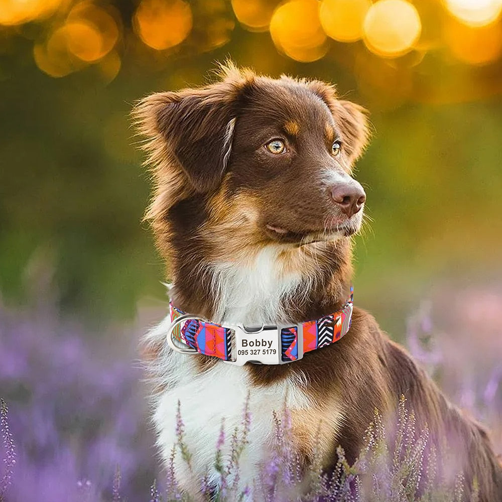 Personalized Embroided Cat Collar