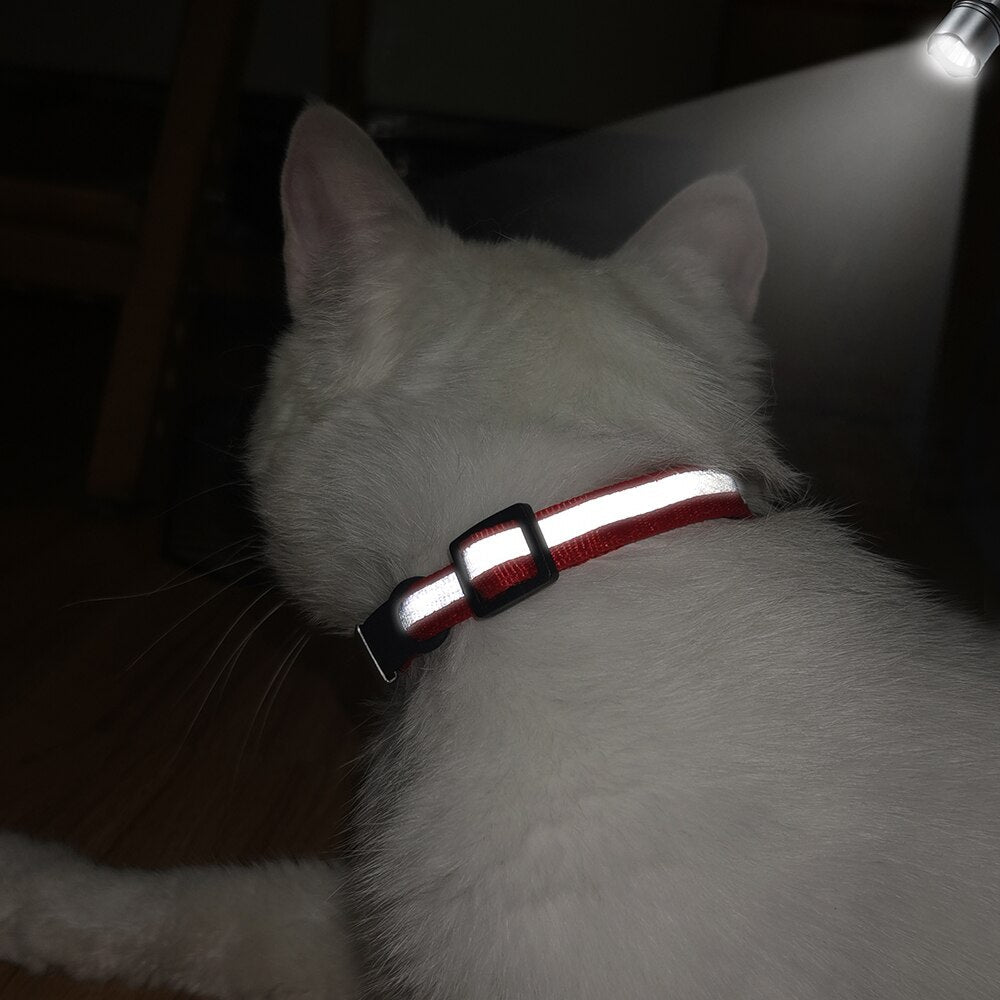 Personalized Reflective Cat Collar