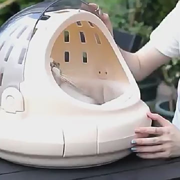 cat-capsule-bed