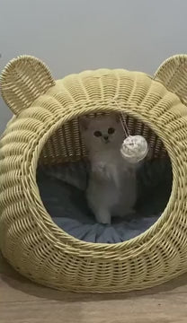wicker-cat-bed