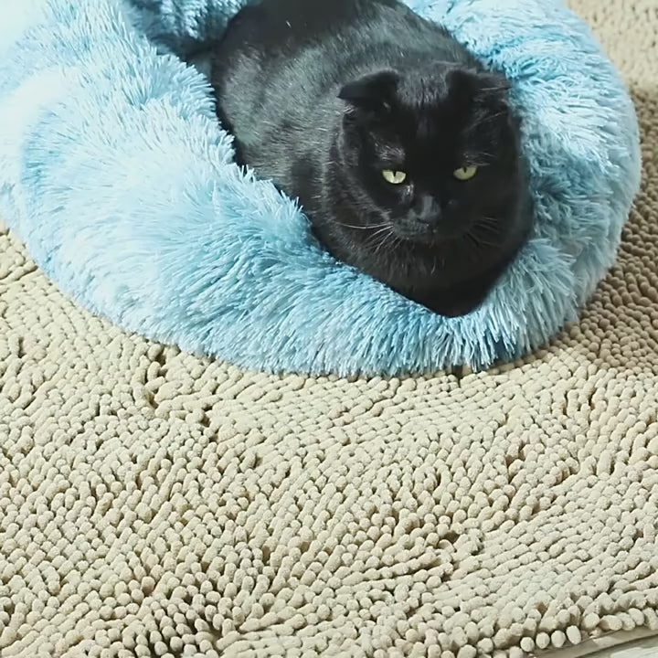 orthopedic-cat-bed