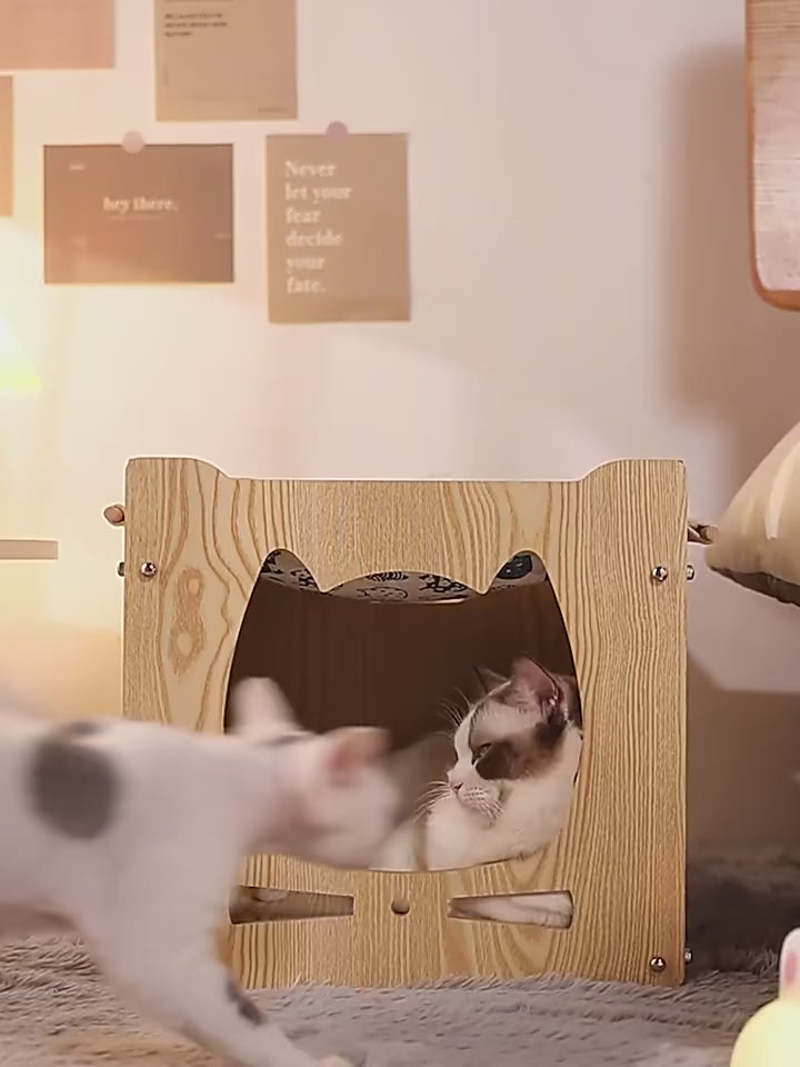 cat-desk-bed