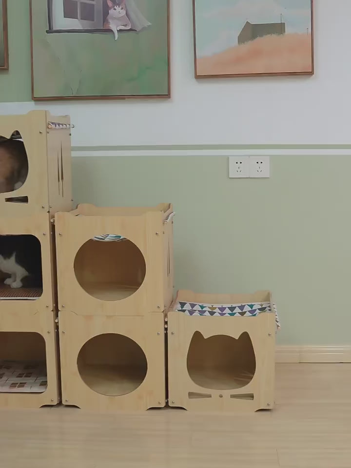 Cat-Desk-Beds