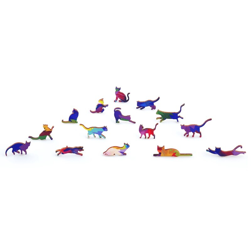 Rainbow Cat Puzzle