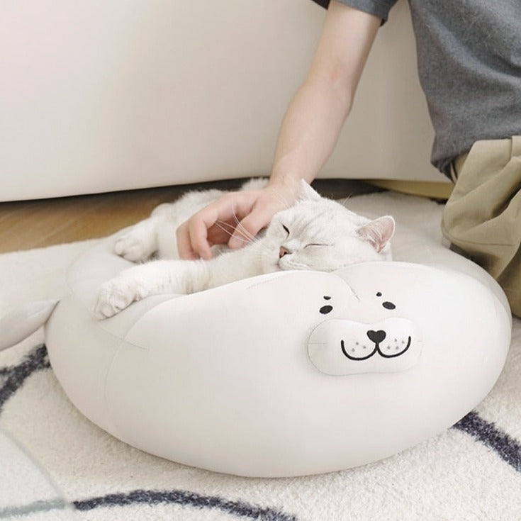 Chewy Cat Beds