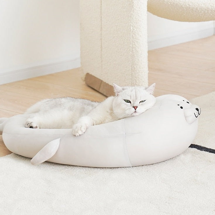 Chewy Cat Beds