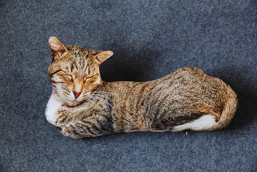 3D Cat Plush
