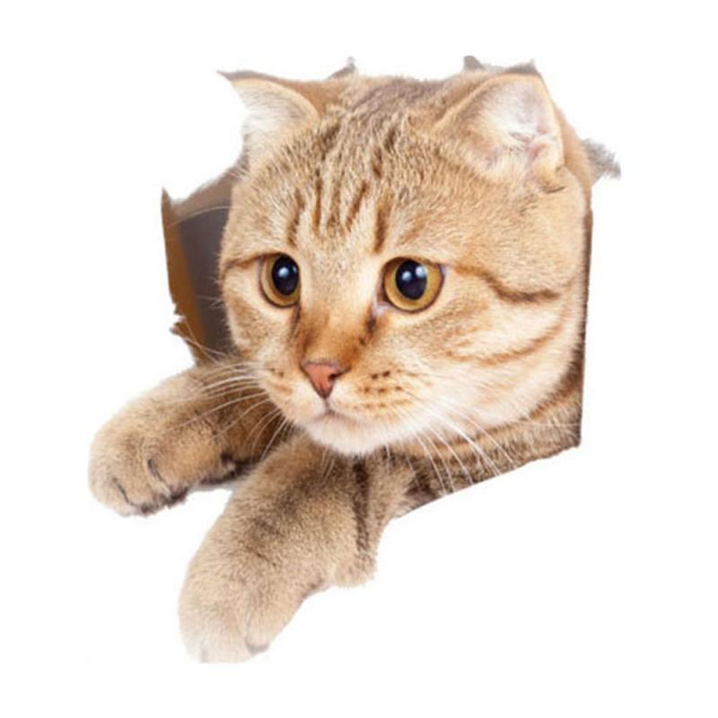 3D Cat Wall Art Stickers - Beige / United States / 1 Piece