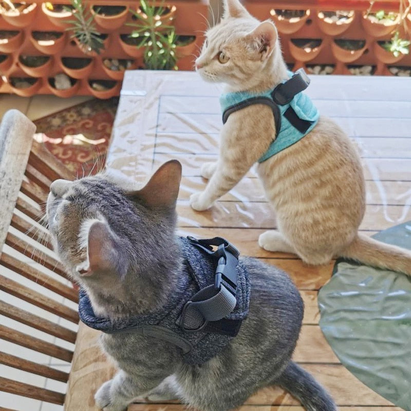 Adjustable Cat Harness - cat harness leash
