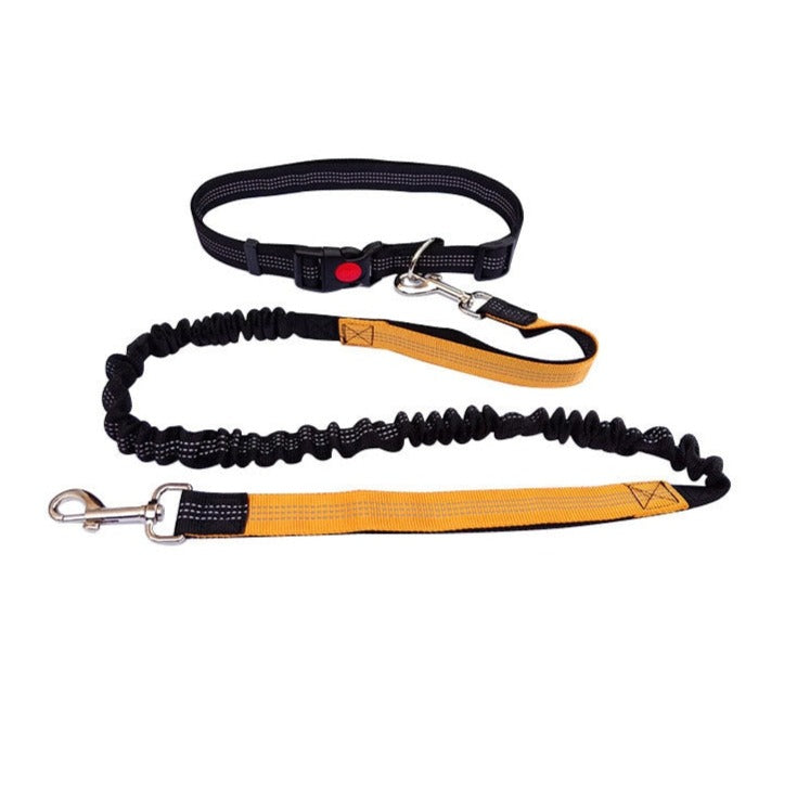 Adjustable Cat Leash - Gold - cat harness leash