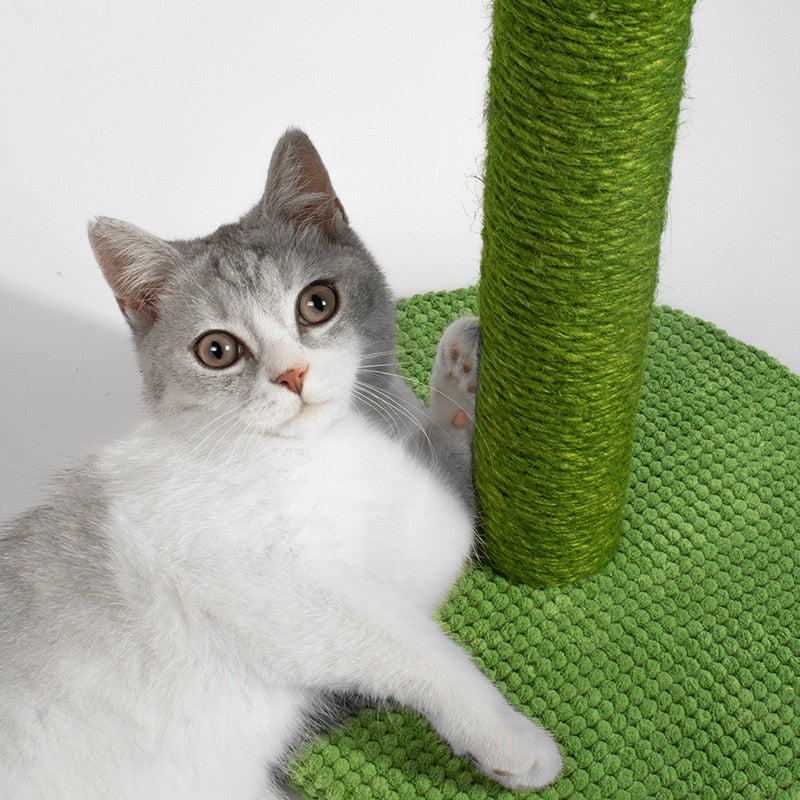 Aesthetic Cat Scratching Post - Cat scratching post