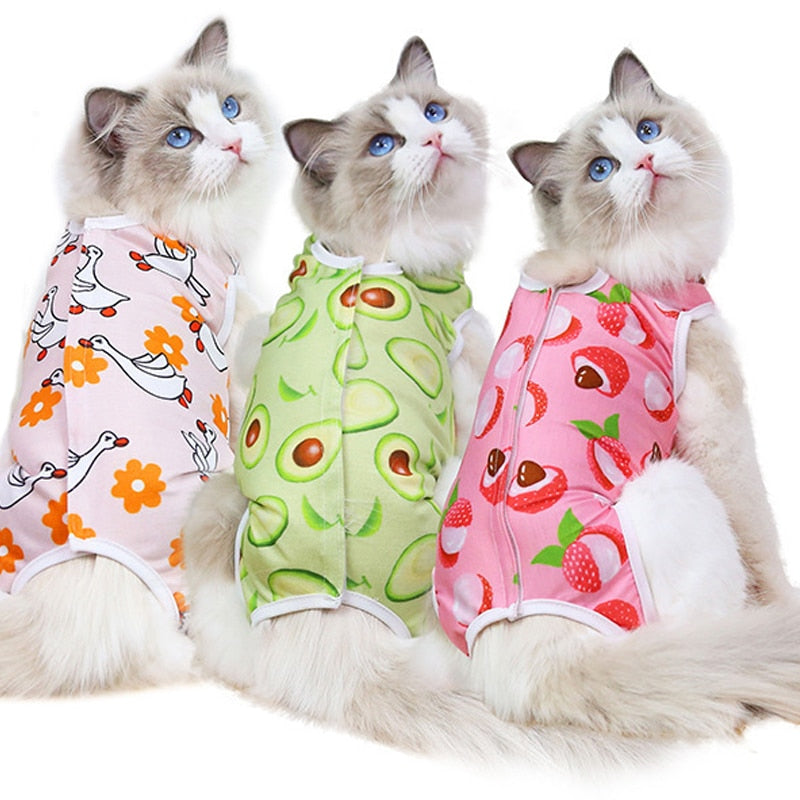 After Surgery Cat Clothes - Clothes for cats