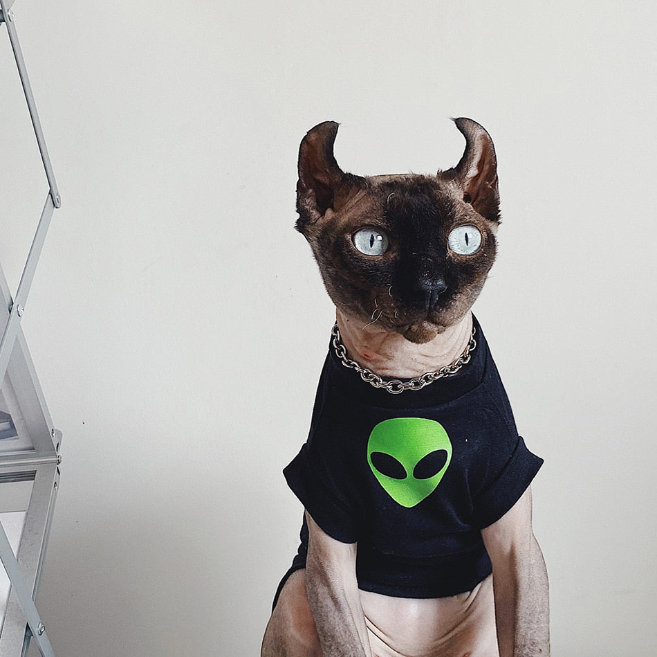 Alien Costume for Cat