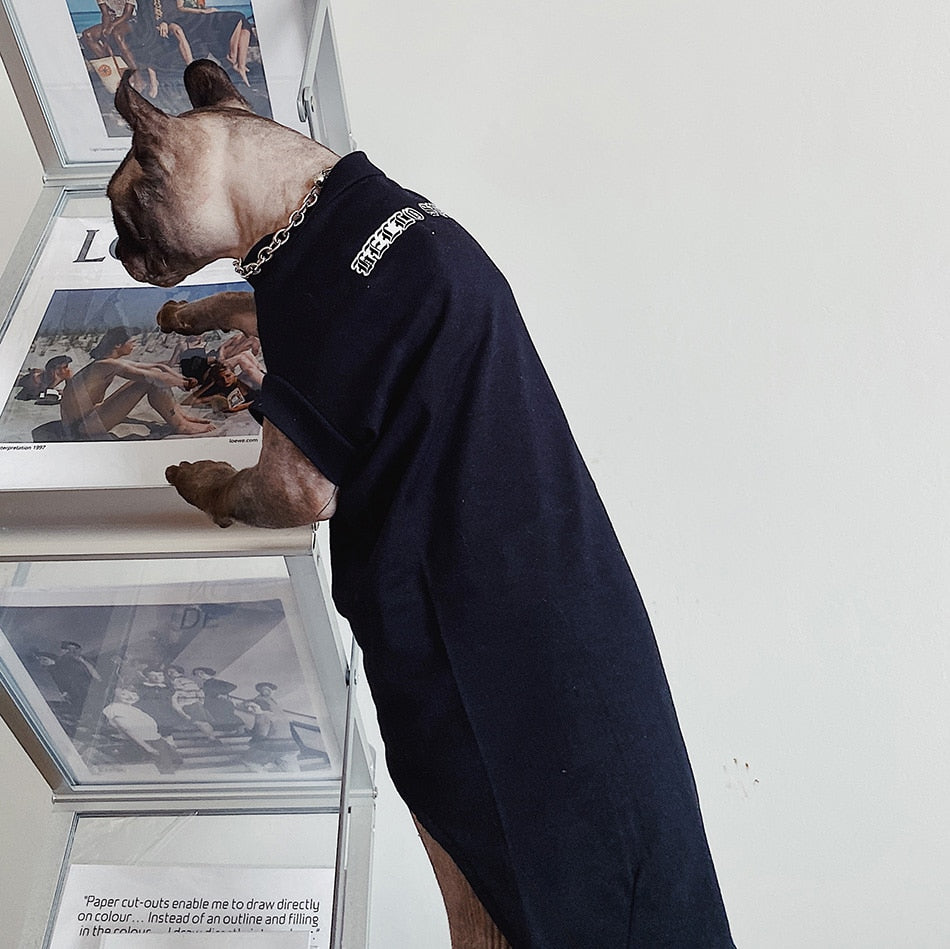 Alien Costume for Cat