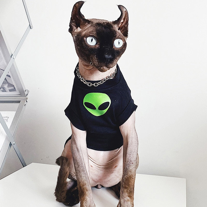 Alien Costume for Cat – Meowden®