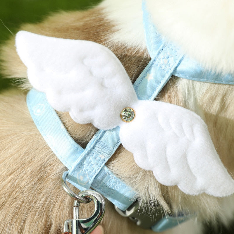 Angel Wing Cat Walking Leash - cat harness leash