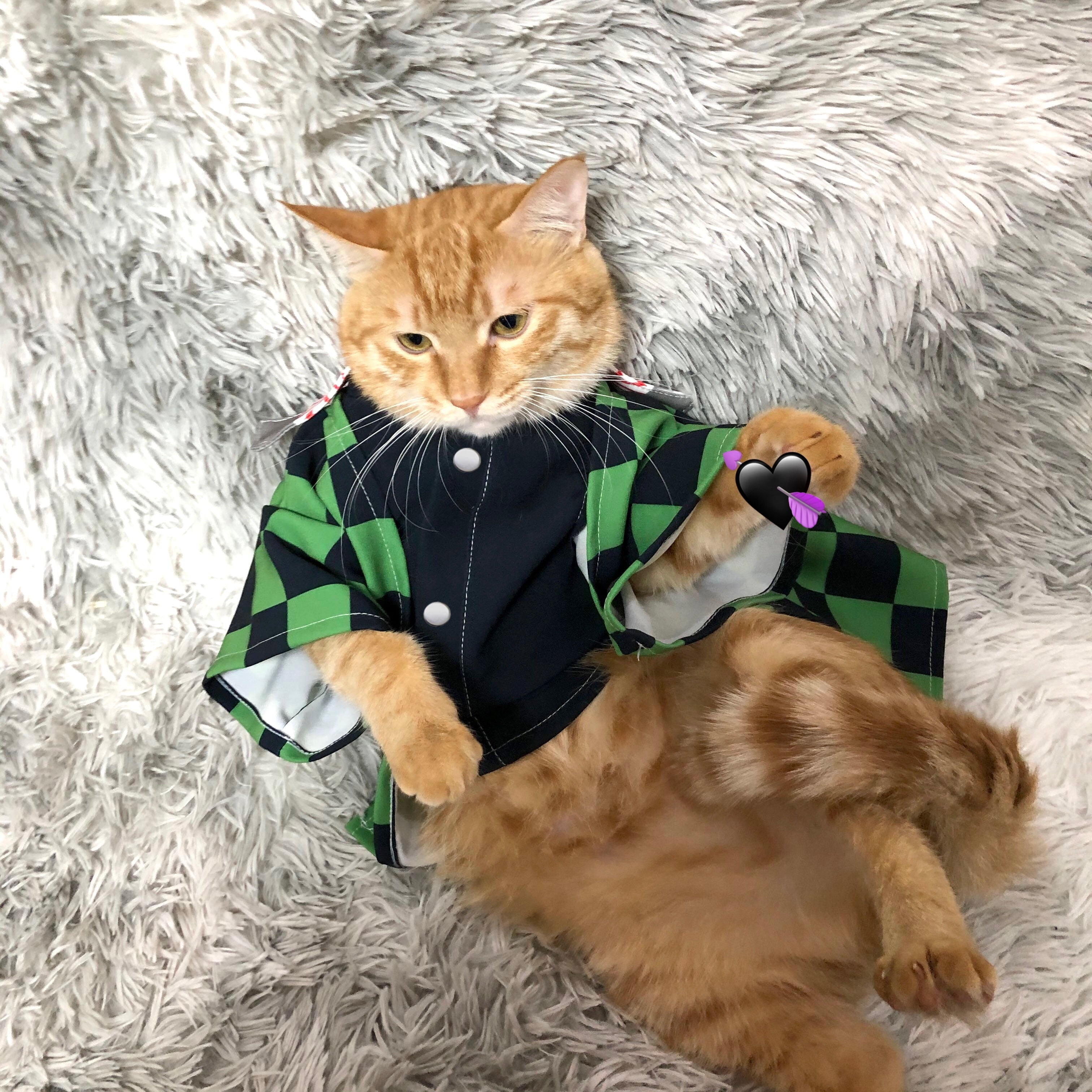 Anime Costumes for Cats