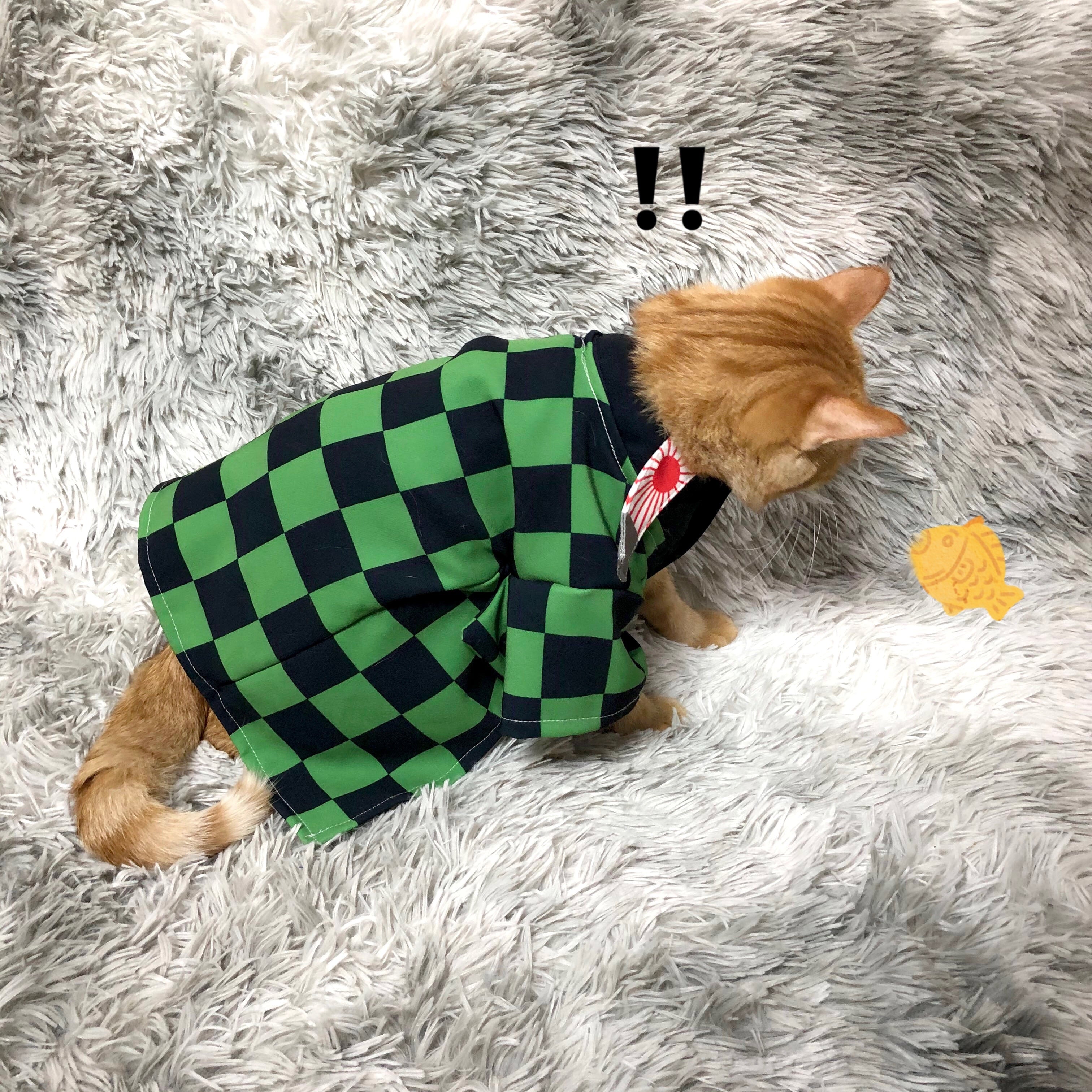 Anime Costumes for Cats