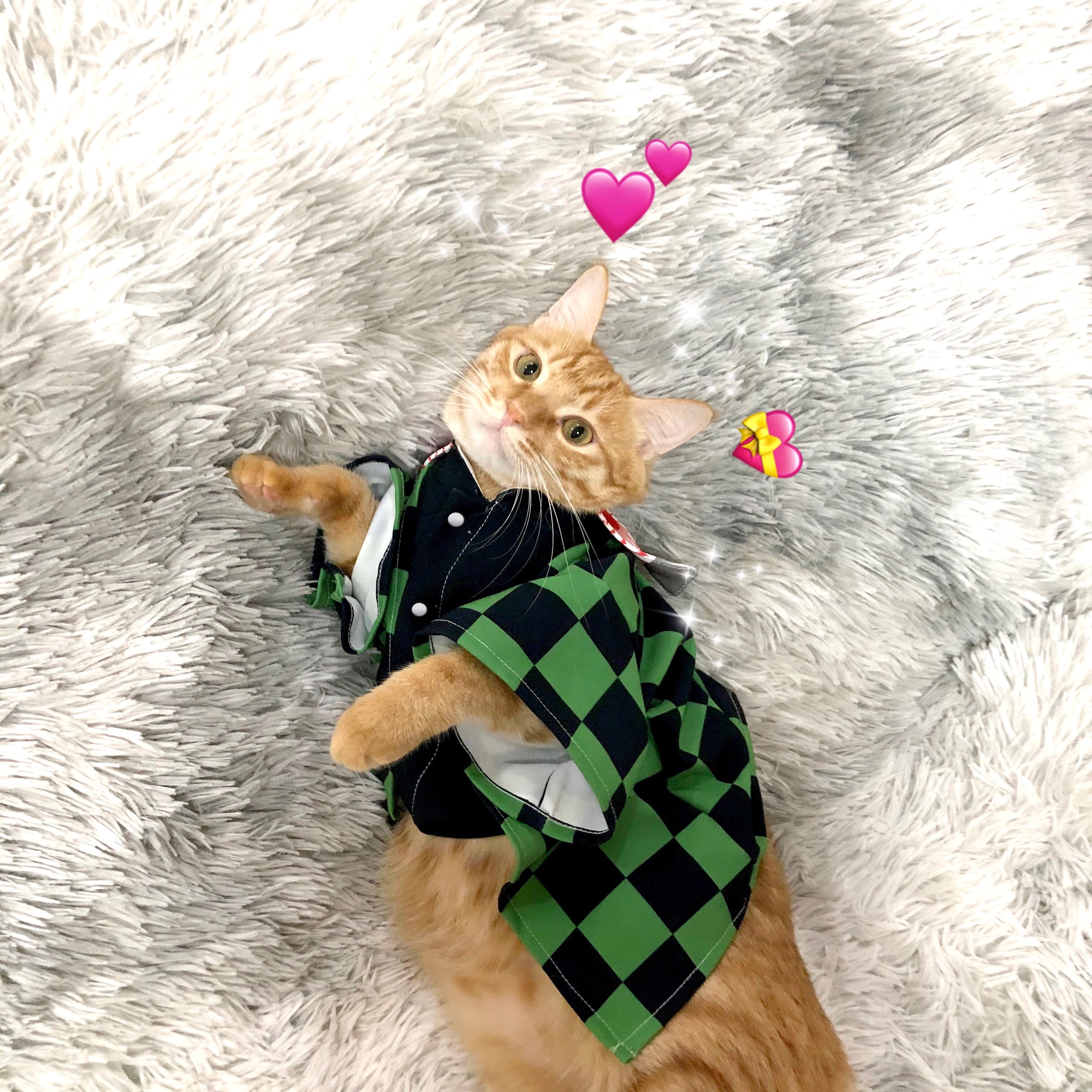 Anime Costumes for Cats
