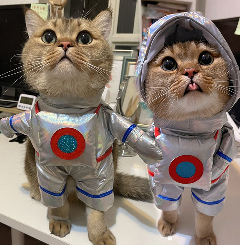 Astronaut Costume for Cats