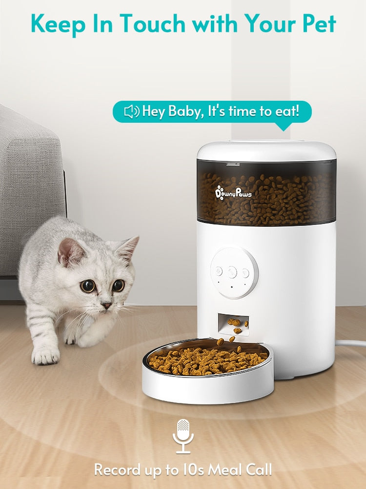 Auto Cat Food Dispenser - Cat Food Dispenser