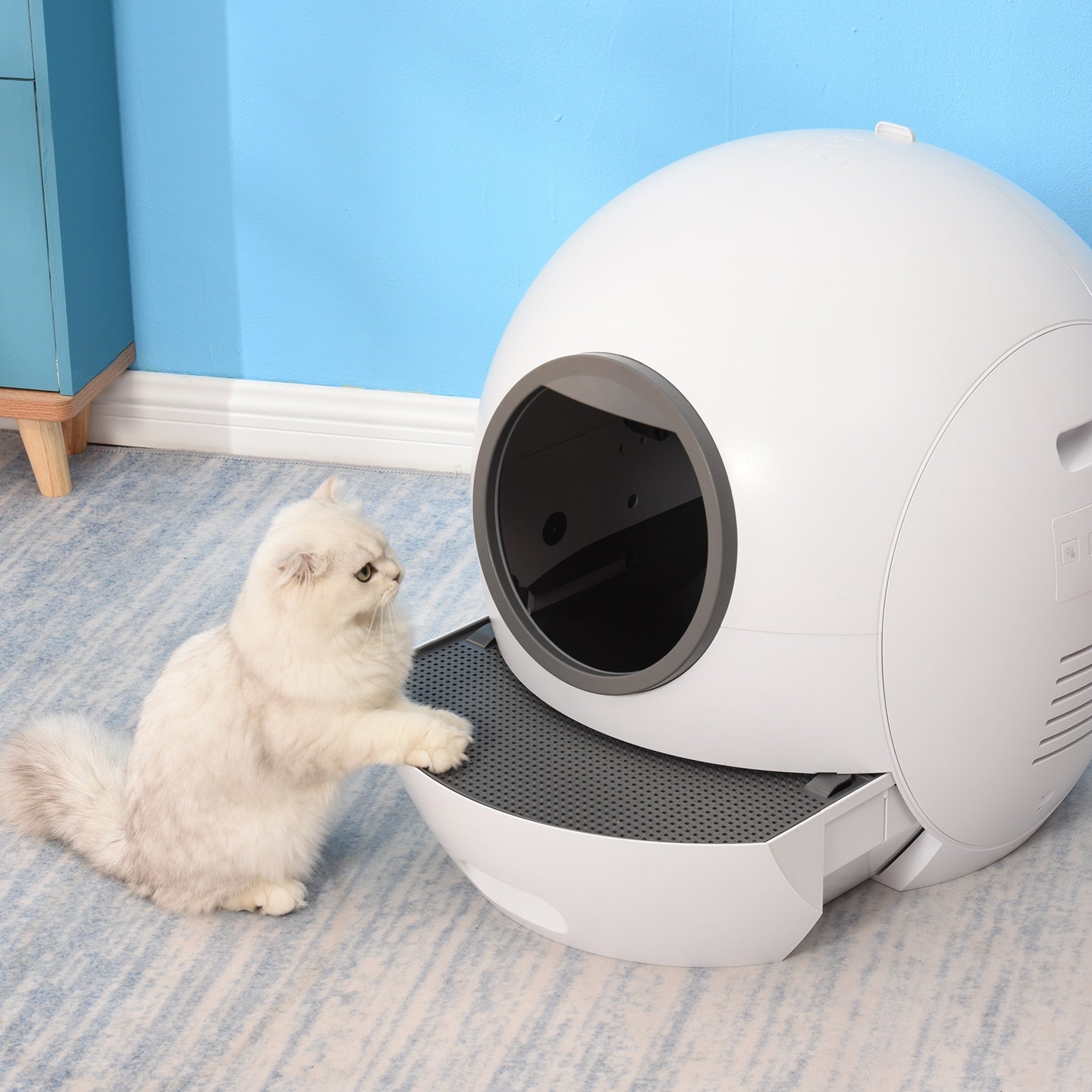 Automatic Cat Litter Box - Cat litter Box