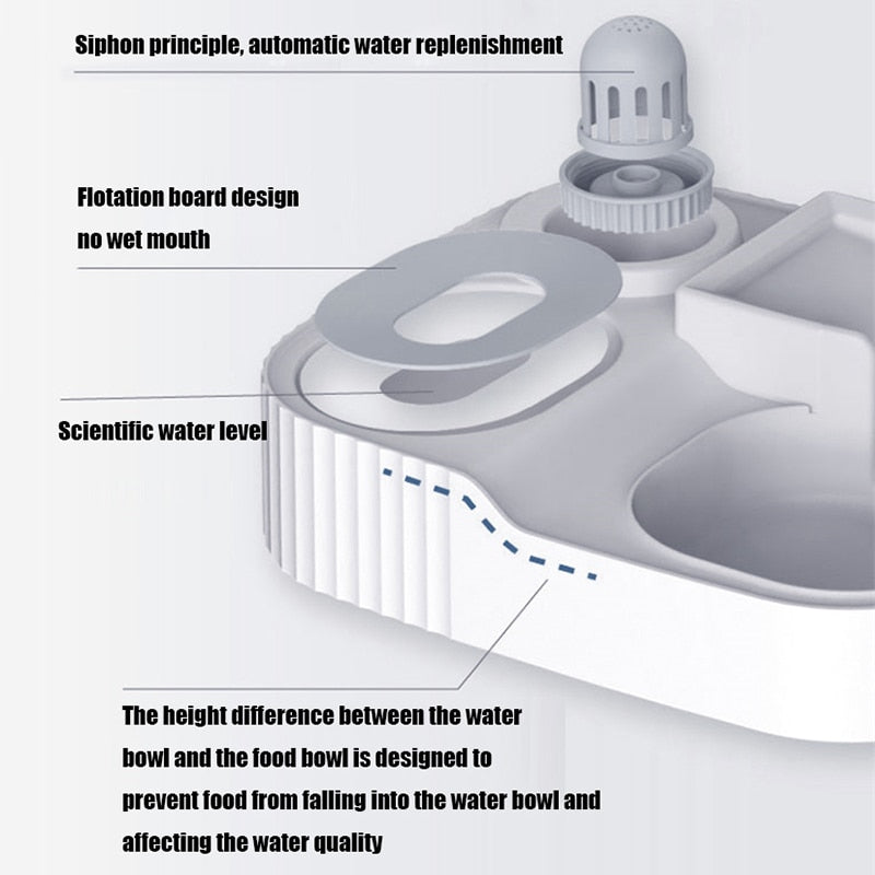 Automatic Food and Water Dispenser for Cats - automatic cat