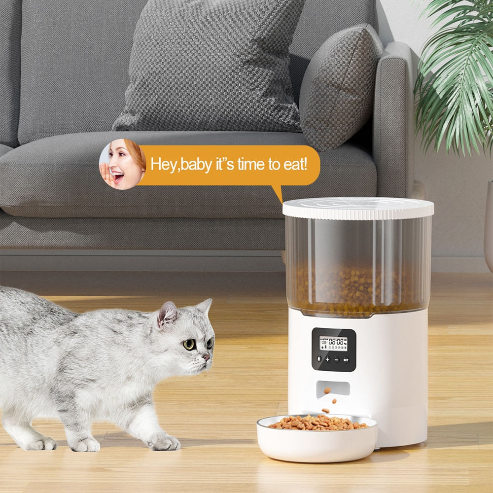 Automatic Food Dispenser for Cats - automatic cat food