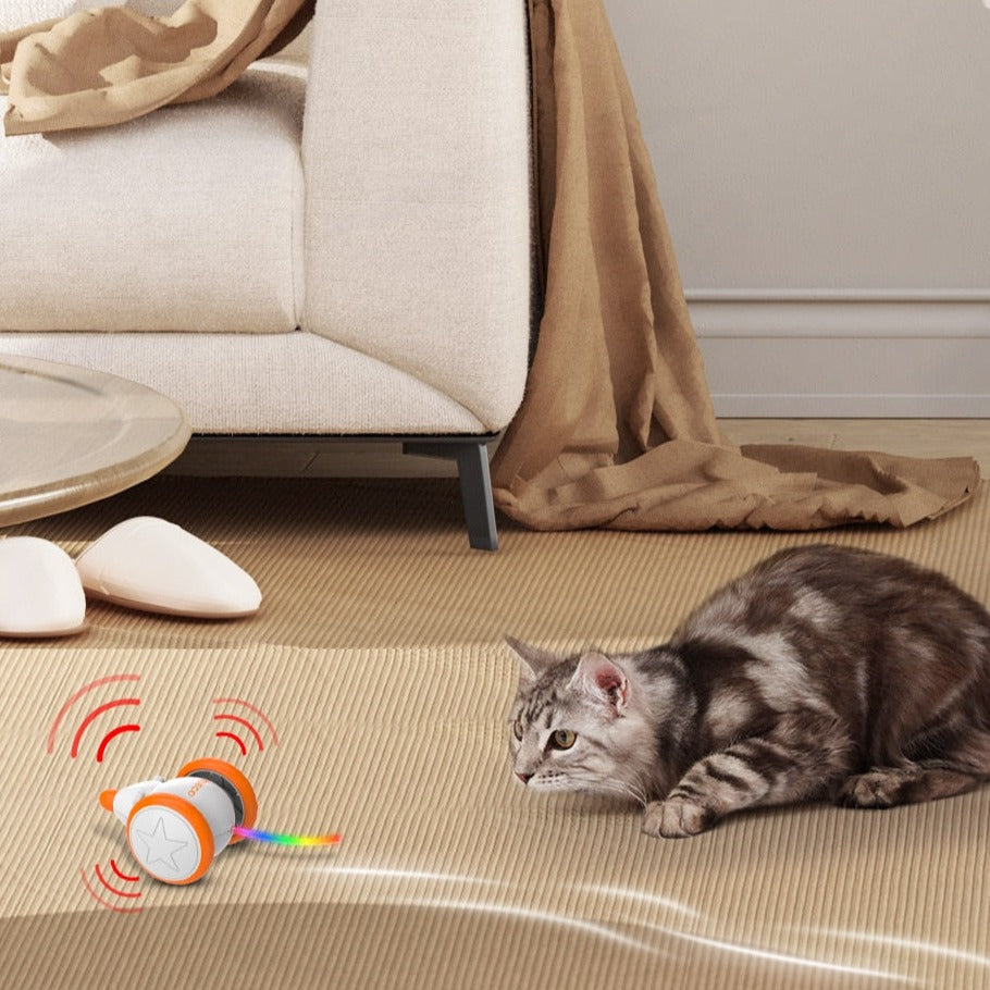 Automatic Interactive Cat Toy - Cat Toys