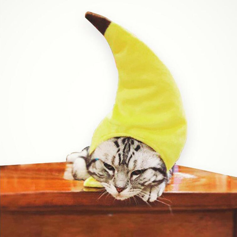 Banana Hat for Cats - Hat for Cats