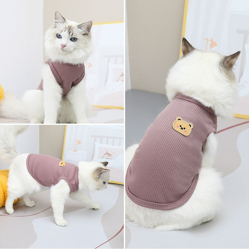 Bear Clothes for Cats - Clothes for cats